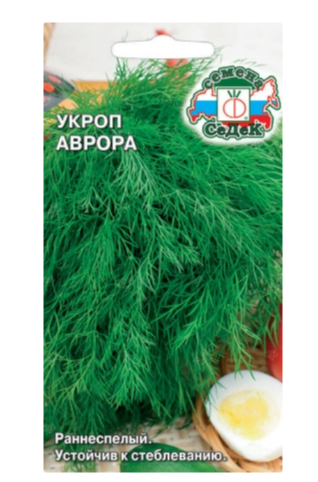 Семена укроп Аврора Седек (уп.10)