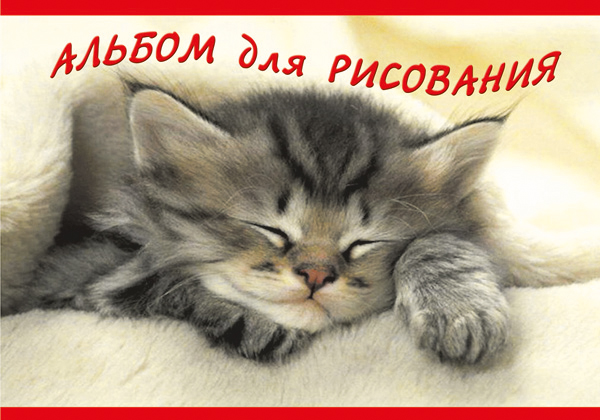 Альбом д/рис. А5 20л. "Котенок" КПИ