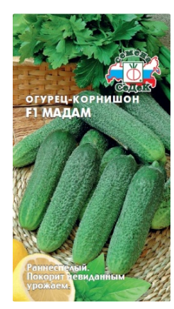 Семена огурец Мадам F1 Седек (уп.10)
