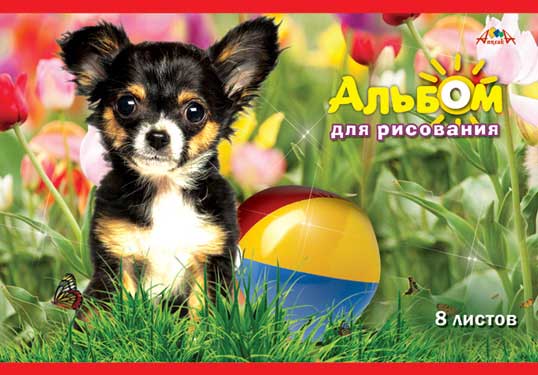 Альбом д/рис. 8л. АппликА  в асс. (15)