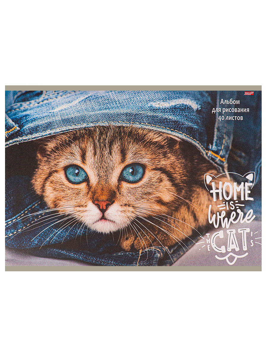 Альбом д/рис. 40л. ТМ"Profit" Котик и джинсы