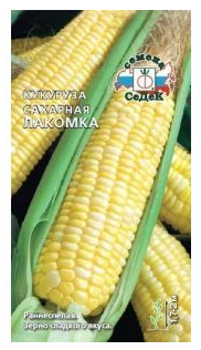 Семена кукуруза Лакомка(сахарная) Седек (уп.10)