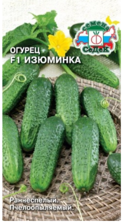 Семена огурец Изюминка F1 Седек (уп.10)