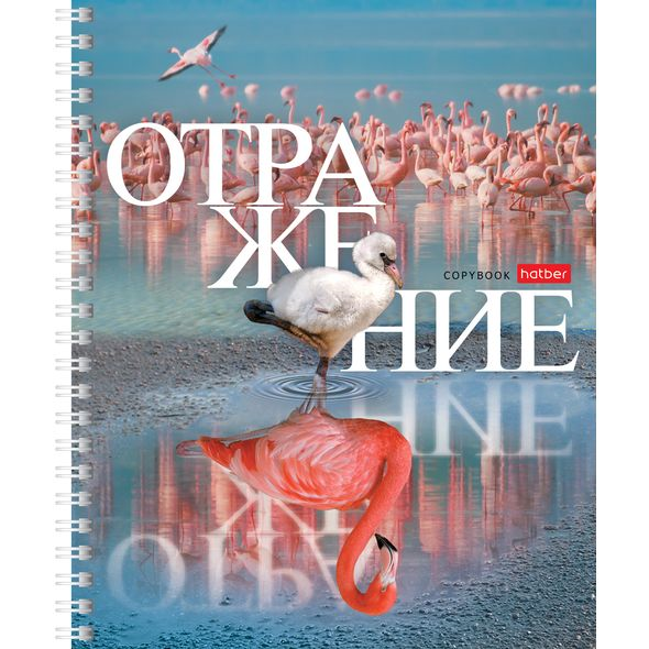 Тетрадь 48л. КЛ. гребень Хатбер Отражение