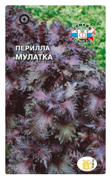 Семена Перилла Мулатка (кустарниковая, пурпурная) Седек (уп.10)