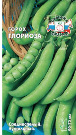 Семена горох Глориоза Седек (уп.10)