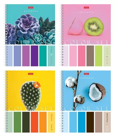 Тетрадь 80л. КЛ. гребень Хатбер Color Set