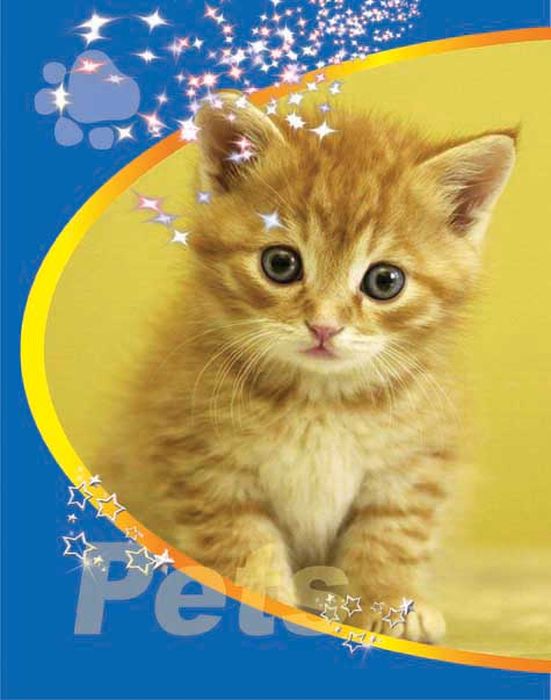Тетрадь 48л. КЛ. Улыбка на гребне Pets  Кот рыж ТП-2-6