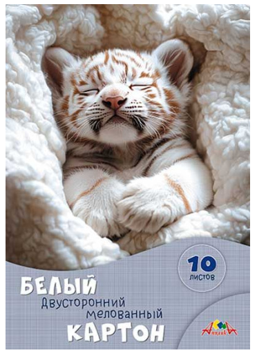 Набор бел. картона А4 10л АппликА двухст. мел. Белый тигренок (60)