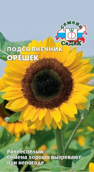 Семена подсолнечник Орешек Седек (уп.10)