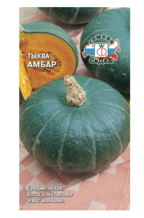 Семена тыква Амбар Седек (уп.10)