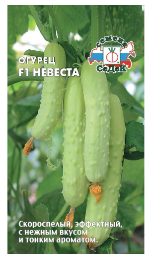 Семена огурец Невеста F1 з/г Седек (уп.10)