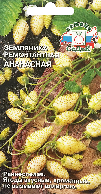 Семена земляника Ананасная ( мелкоплодная ремонтант.) Седек (уп.10)