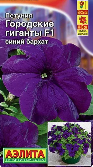 Семена Петуния Городские гиганты F1 синий бархат Аэлита (уп.5)