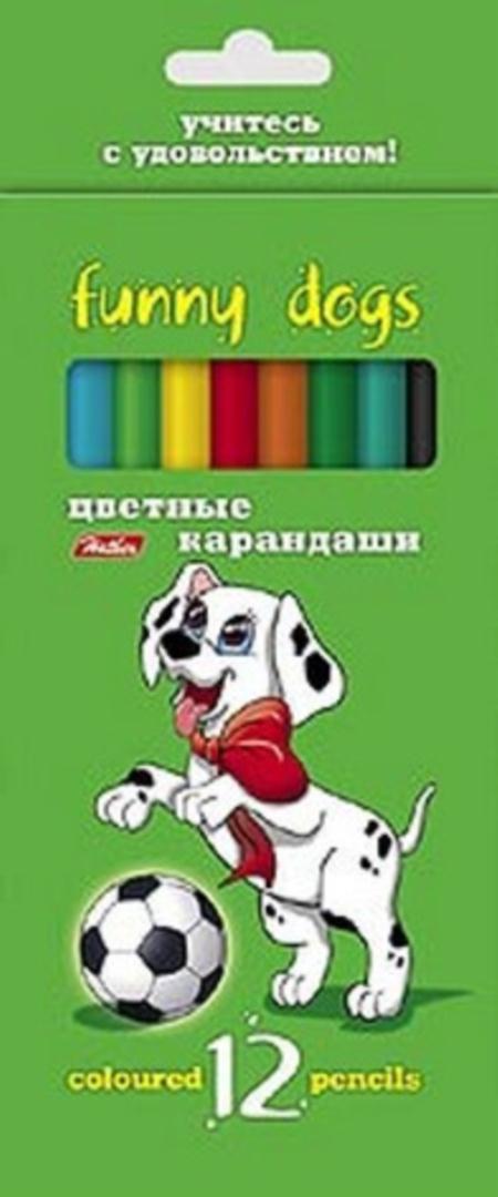 Набор цв. карандашей 12цв. Хатбер Далматинцы