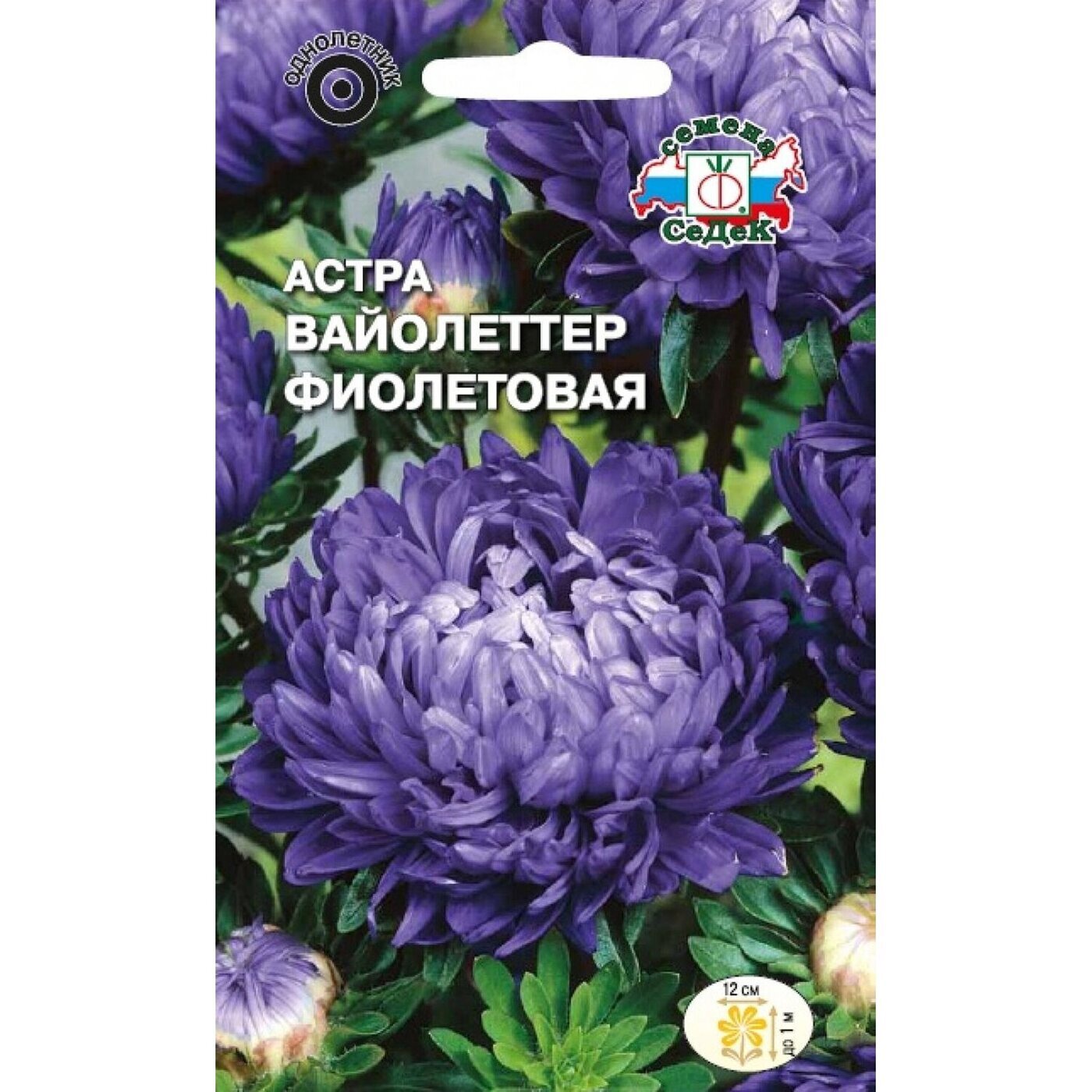 Семена Астра Вайолеттер фиолетовая (пионовидная, фиолет.) Седек (уп.10)