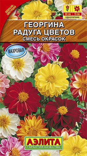Семена Георгина махровая Радуга цветов, смесь сортов Аэлита (уп.10)