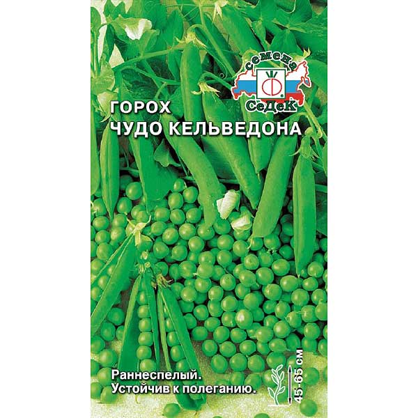 Семена горох Чудо Кельведона Седек (уп.10)