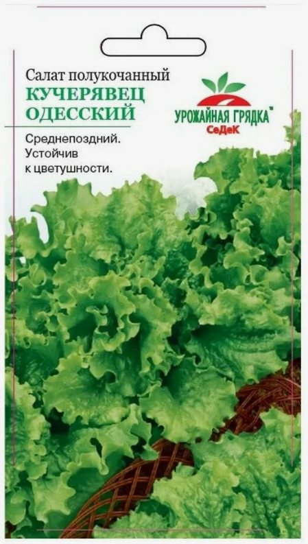 Семена салат Кучерявец Одесский (полукочанный) Седек (уп.10)