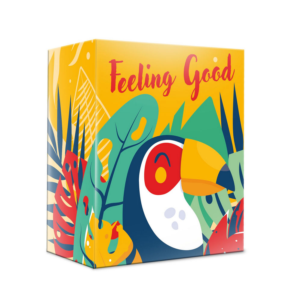 ПН/ЖЕН. Feeling good (Био гель 200мл.+соль д/ванн 150г.+скраб 100г.)