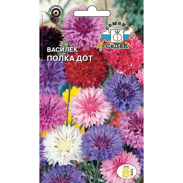 Семена Василек Полка Дот (низкорослый, смесь цветов) Седек (уп.10)