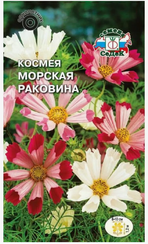 Семена Космея Морская раковина (бипиннатус, махровая смесь) Седек (уп.10)
