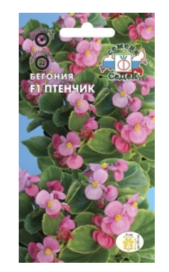 Семена Бегония птенчик F1 Седек (уп.10)