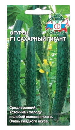 Семена огурец Сахарный Гигант F1 Седек (уп.10)