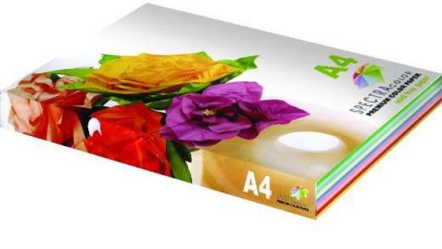 Бумага А4 цветная Color print 250л.  80г/м2, 10цв.х25л.
