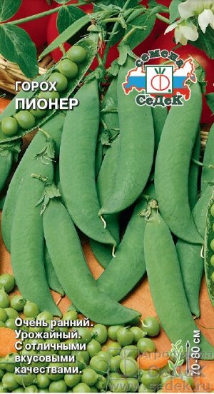 Семена горох Пионер Седек (уп.10)