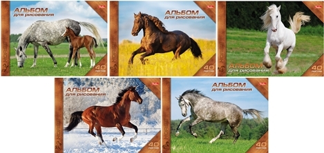 Альбом д/рис. 40л. гребень Хатбер "Horses"