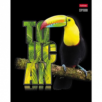 Тетрадь 48л. КЛ. Хатбер "3Dлак Птица Дивная" (уп.5/10шт)